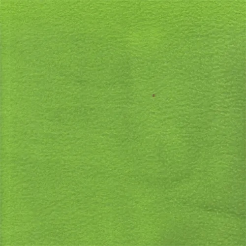 Lime Fleece Fabric